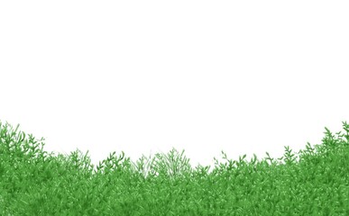 草のフレーム　その1