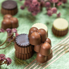 Round chocolate on a green background