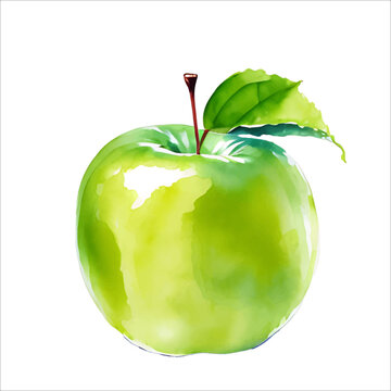 Fresh Green Apple Fruit with Leaf Watercolor Painting Illustration Vector