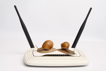 Snails crawling on a white modem. Slow Wi-Fi Internet or connection speed. Weak modem for signal...