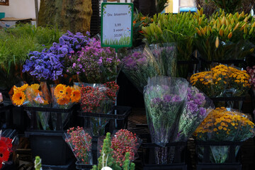 Flowers in the market of Delft, Holland 