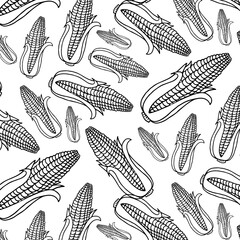 Corn, maize seamless pattern. Hand drawn corn design. Sketch background. Vector illustration. Corn on the cob hand drawn vector illustration. Engraved style, vintage design.