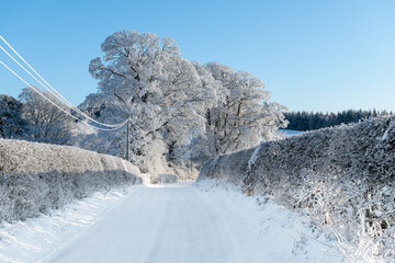 Snow covered lane in the Scottish Borders in the United Kingdom