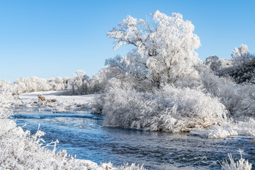 Ice and frost on trees and the River Teviot 