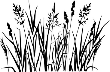 black graphic drawing of field herbs, isolated element, decor
