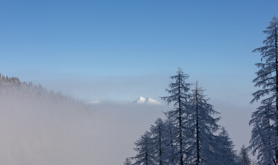 Fototapeta na wymiar winter mountain landscape peaks and trees snow covered