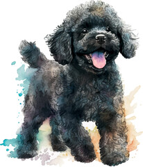 Happy Black Poddle Dog Smile, cute dog, smile dog, watercolor dog, eps, vector