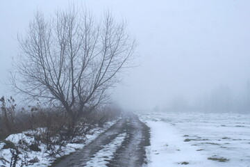 field road in winter and fog
