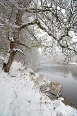 Snow covered footpath alongside the Teviot River in the Scottish Borders