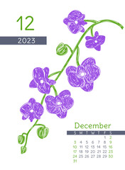 Floral calendar 2023 year. December month. Orchid botanical illustration. Calender design. Hand drawn vector pen or marker doodle sketch. Natural pencil drawing