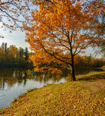 Autumn landscape in the historical park 