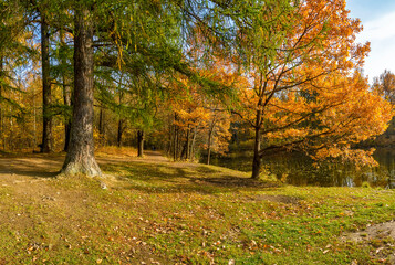 Fototapeta premium Autumn landscape in the historical park 