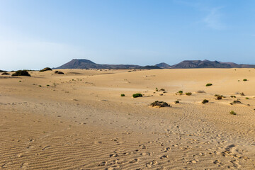 Fototapeta na wymiar Corralejo Dunes National Park in Fuerteventura with volcanoes in the background, Canary Islands, Spain