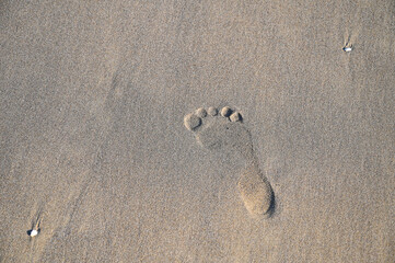 Fototapeta na wymiar Footprint in the sand on the beach. 
