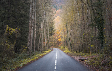Obraz premium Road Across the Montseny Natural Park, Catalonia