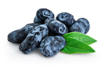 Fresh honeysuckle blue berry isolated on white background with full depth of field
