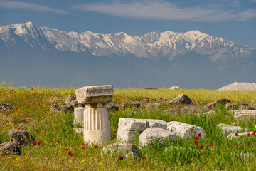 The ancient city of Aphrodisias. Archaeological and historical sites of modern Turkey