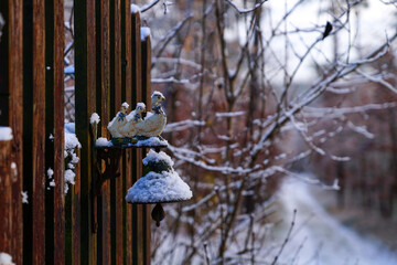 Wood gate in the garden with three geese on the bell, covered with snow, background winter forest,...