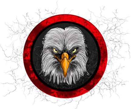 eagle head illustration inside a red frame