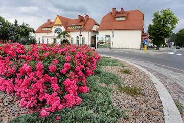 RABKA ZDROJ, POLAND - JUNE 16, 2022: Roses in front of the railway station in Rabka Zdroj, Poland. - obrazy, fototapety, plakaty
