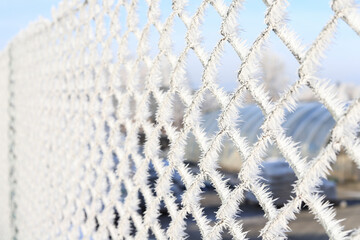 Frosted wire mesh fence in the morning.