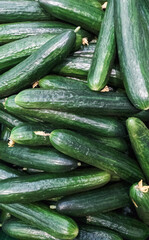 Cucumbers top view, greenhouse cucumbers, long cucumbers, vegetables harvest, food background, place for text. vertical