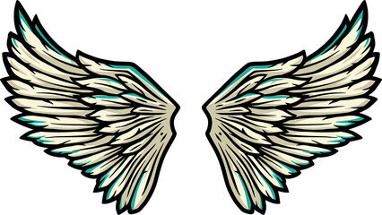 Pair of bird wings with feathers. Colored vector illustration of freedom