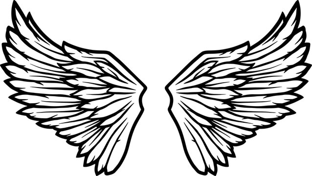 Pair of bird wings with feathers. Outline vector illustration of freedom