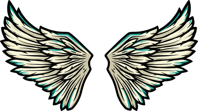 Pair of bird wings with feathers. Colored vector illustration of freedom