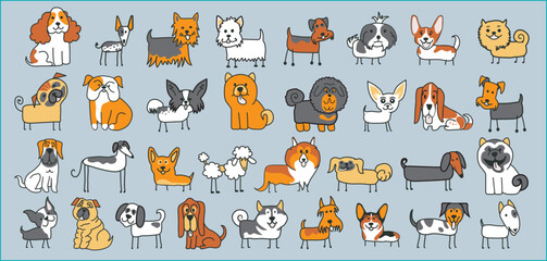  Pattern of many different dog breed