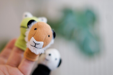 wearing 10 finger puppets. Frog, lion, tiger, panda bear. 