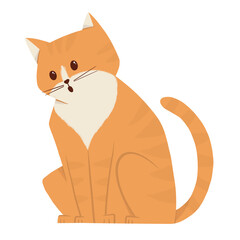 cute little cat sitting