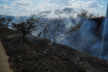 Forest fire, bush fire on the roadside in the always dry backcountry of northeastern Brazil, near the town of Caninde, Ceara state, Brazil.