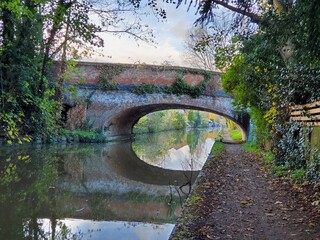 bridge over the river