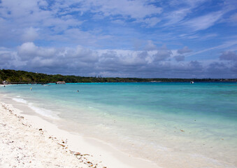 Fototapeta na wymiar New Caledonia's Lifou Island Beach