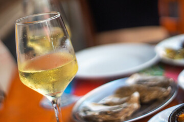 Cold white wine glass with oysters on the background
