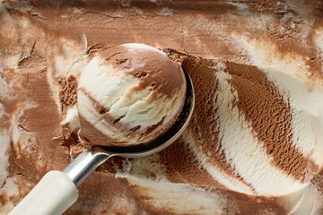 vanilla and chocolate ice cream