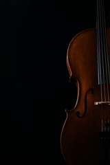 cello on black background