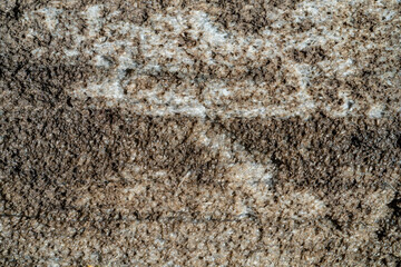 texture of the stone background