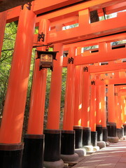 迎春の伏見稲荷大社