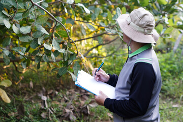 Man botanist is at forest to survey botanical plants, holds paper clipboard. Concept , Survey ,research botanical plants. Forest and environment conservation.  