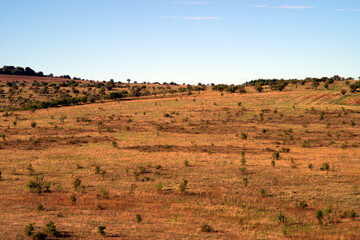 Le Murge pugliesi, veduta territoriale delle campagne del sud Italia