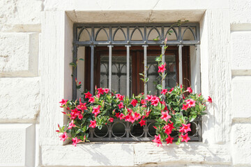 Fototapeta na wymiar guarded window with flowers iron grate