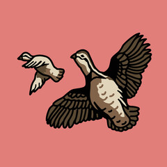 VECTORS. Northern Bobwhite Quail birds flying. Also known as the Virginia quail or bobwhite quail, is a ground-dwelling bird native to Canada, the United States, Mexico, and Cuba