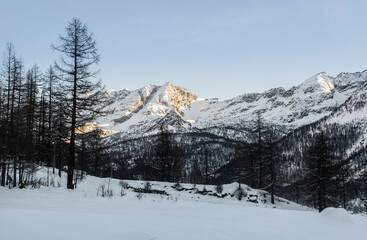 Fototapeta na wymiar Forest in the winter season, mountains of Piedmont, Italy