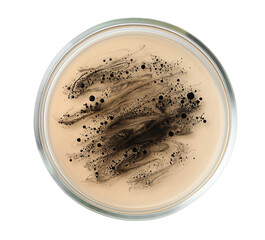 Petri dish with bacteria on white background, top view