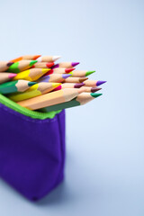 Many colorful pencils in pencil case on light grey background