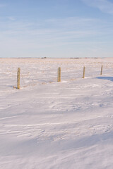 Fence posts in the snow