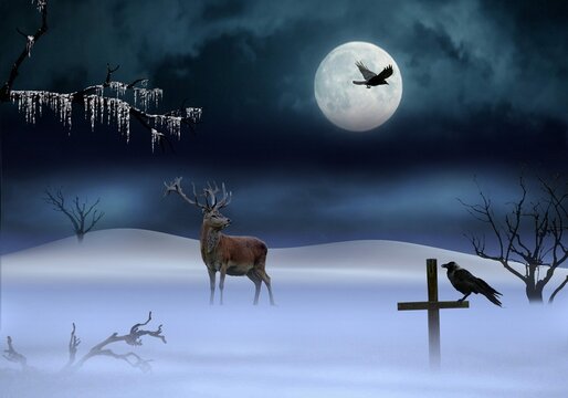 deer, raven, winter, night, hall, picture, interior design, home decoration, abstraction, style,