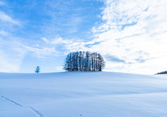 青空とマイルドセブンの丘